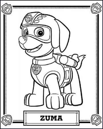 ▷ Patrulha Canina desenho para colorir (2023) - Patrulla Canina